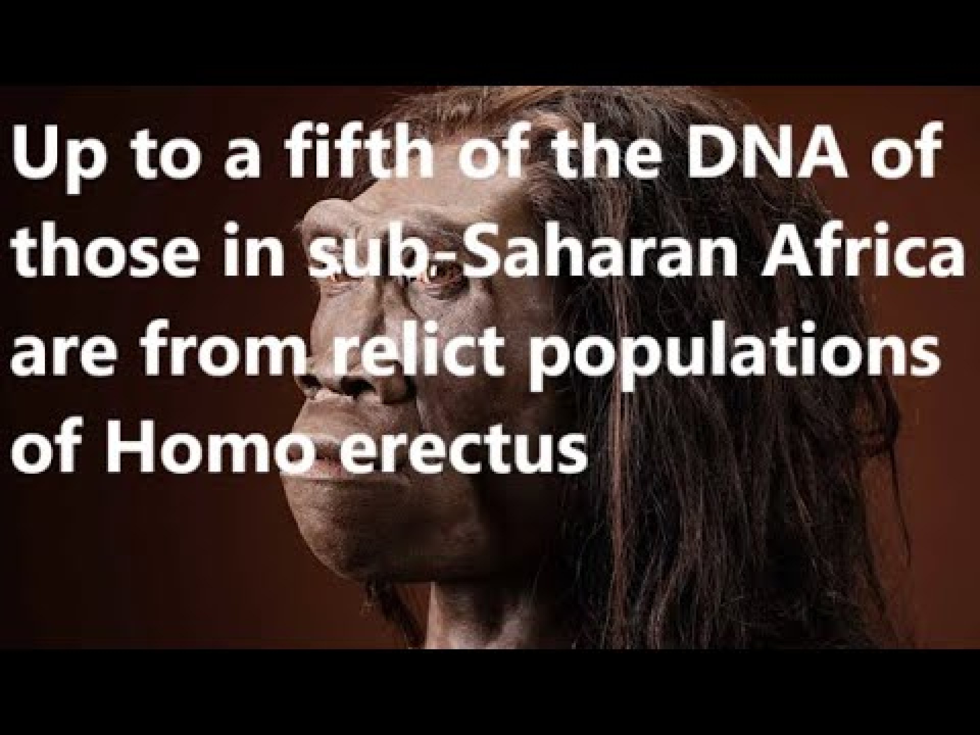 Some possible implications of the genetic differences between Europeans and sub-Saharan Africans Some possible implications of the genetic differences between Europeans and sub-Saharan Africans