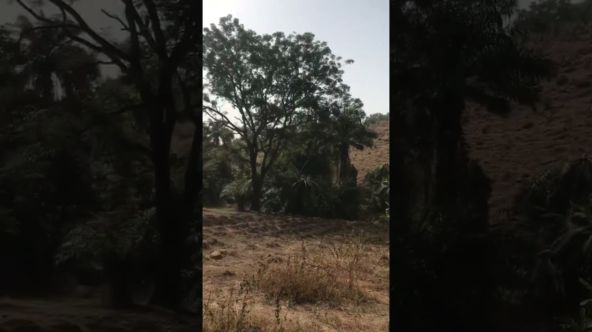 Inside The Hiking Trail In Karu Abuja, Nigeria|#shorts Inside The Hiking Trail In Karu Abuja, Nigeria|#shorts