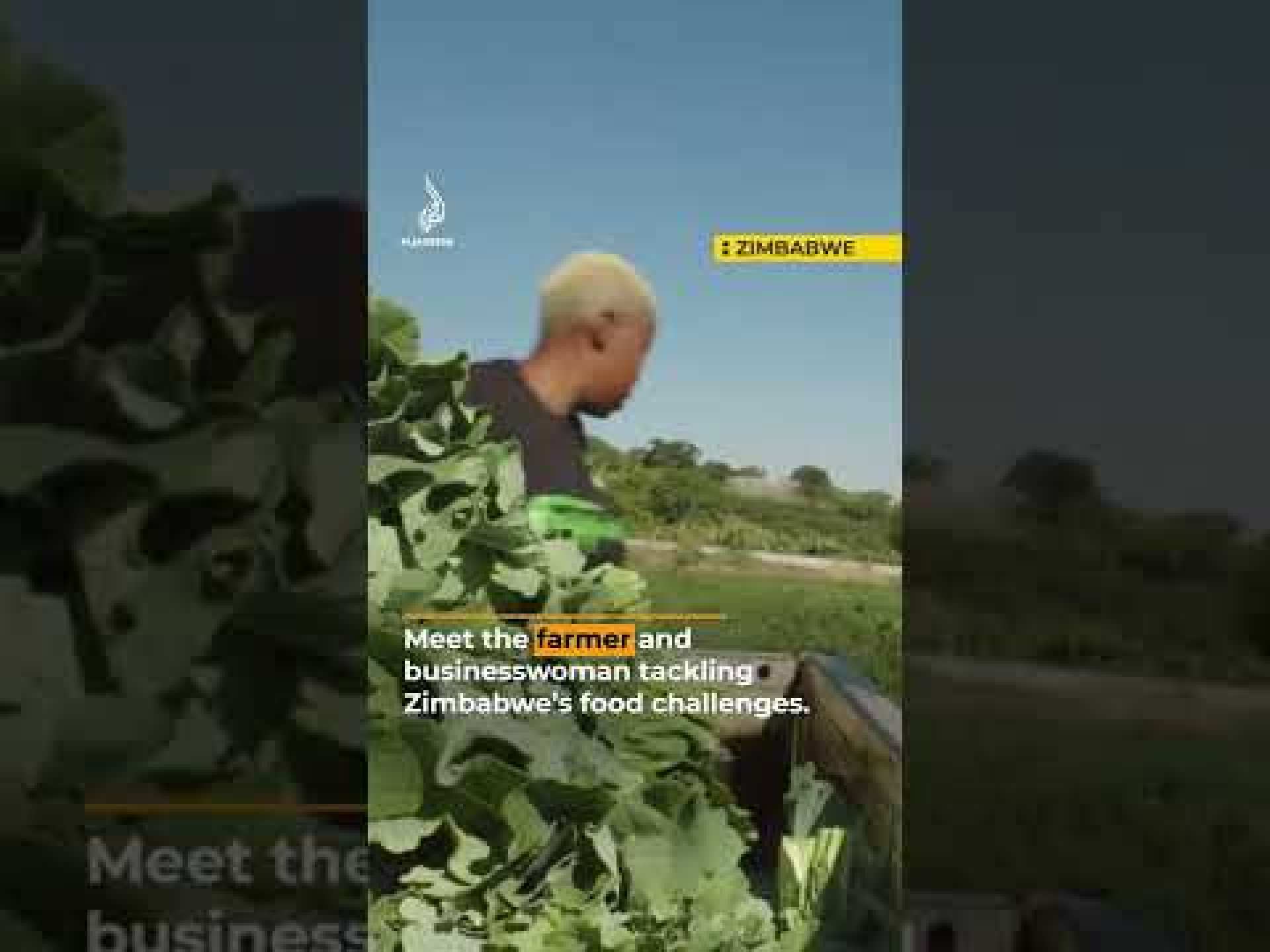 Meet the farmer tackling Zimbabwe’s food challenges | Africa Direct | AJ #shorts Meet the farmer tackling Zimbabwe’s food challenges | Africa Direct | AJ #shorts