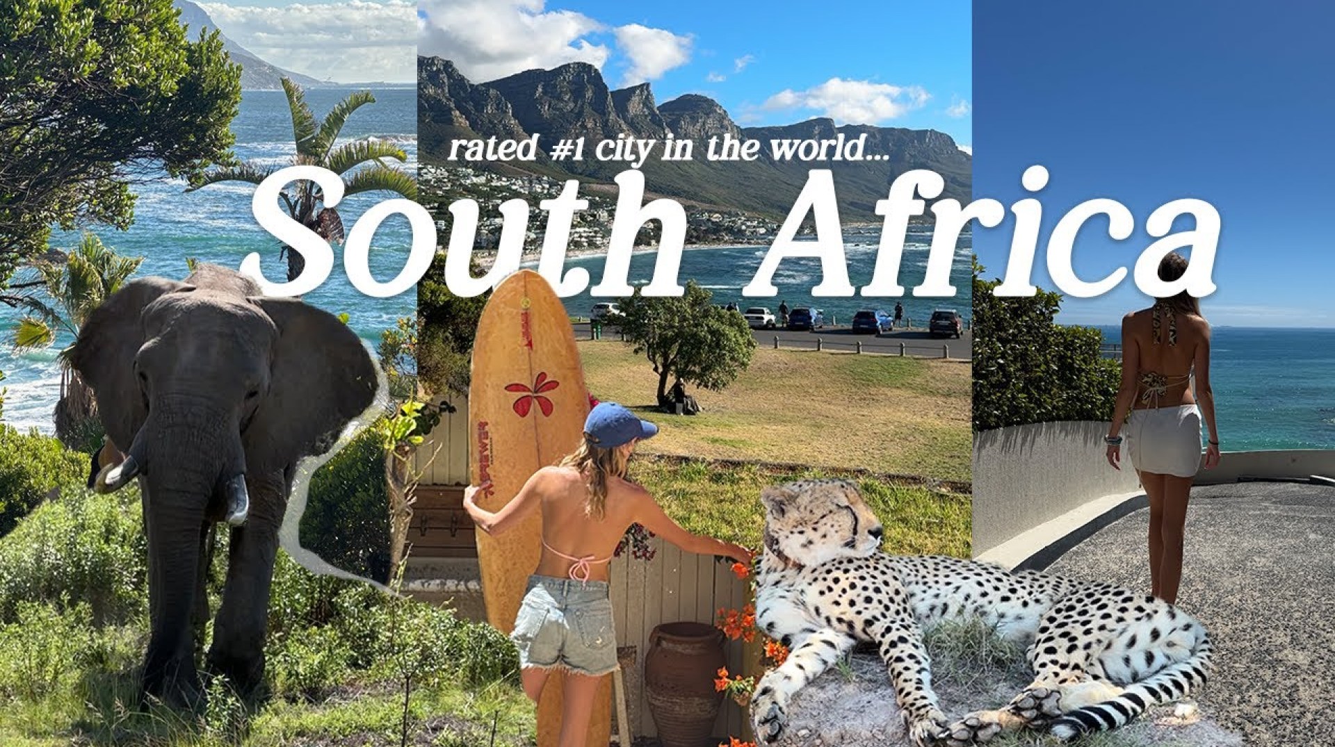 South Africa: week in 2025’s BEST rated city in the world | TRAVEL VLOG South Africa: week in 2025’s BEST rated city in the world | TRAVEL VLOG