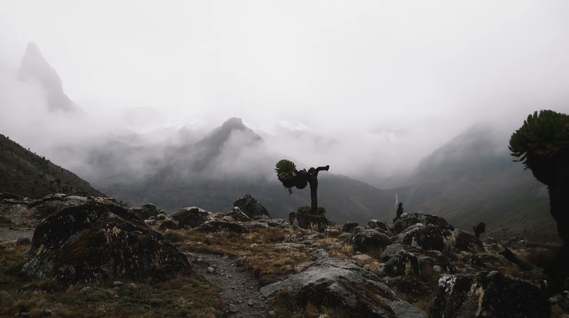 Climbing Mount Kenya-5200m Climbing Mount Kenya-5200m