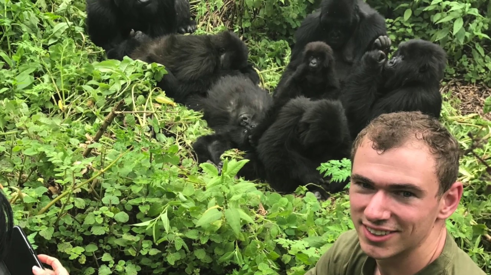 Rwanda Gorilla Trek Rwanda Gorilla Trek