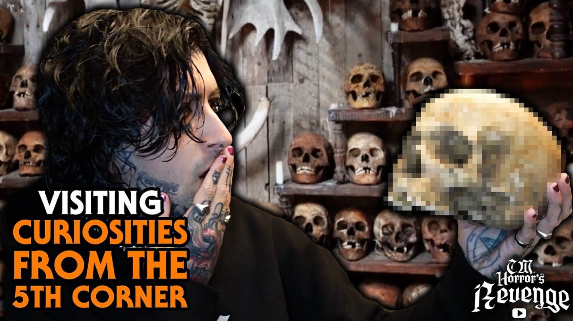 SKULLS, BONES, TAXIDERMY & MORE! A HORROR FANS DREAM – CURIOSITIES FROM THE 5TH CORNER! SKULLS, BONES, TAXIDERMY & MORE! A HORROR FANS DREAM – CURIOSITIES FROM THE 5TH CORNER!