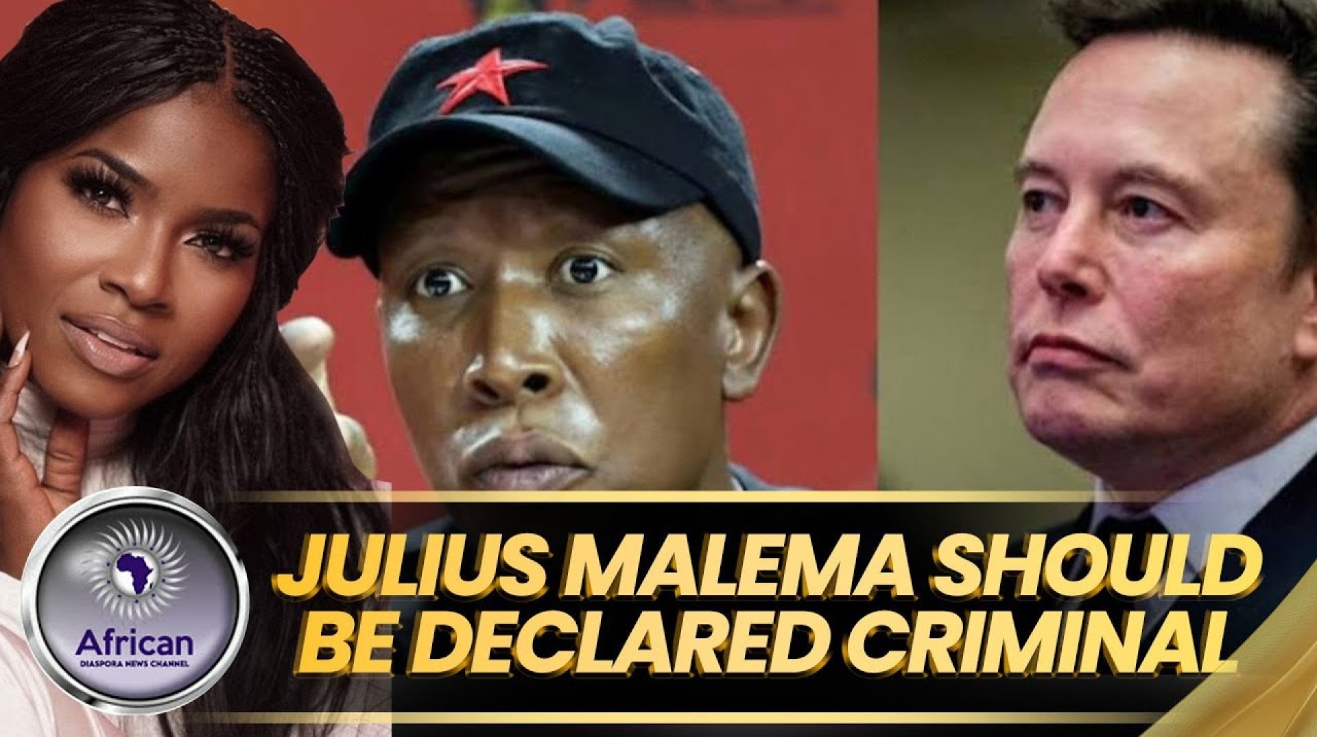Elon Musk Demands Julius Malema Declared an International Criminal and Immediate Sanctions Imposed Elon Musk Demands Julius Malema Declared an International Criminal and Immediate Sanctions Imposed