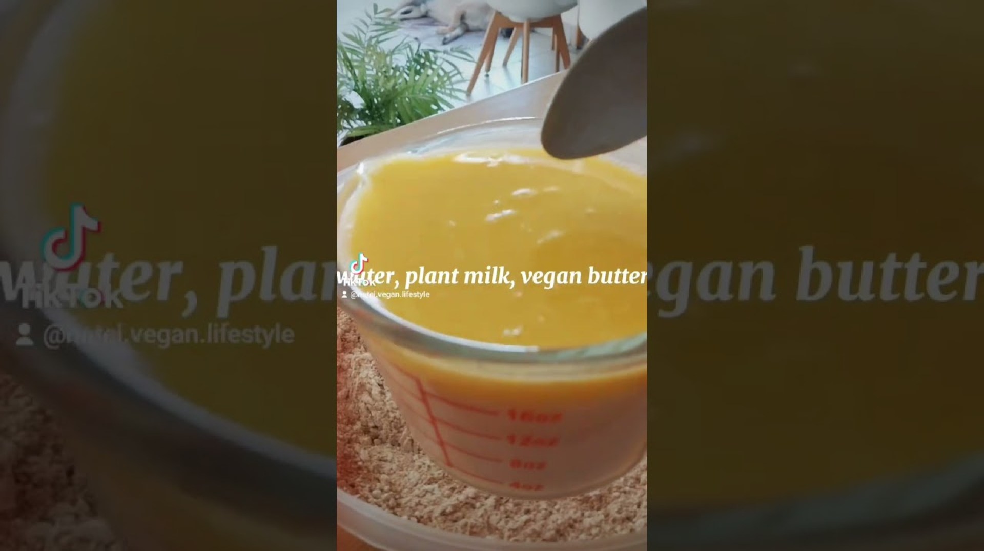 Vegan Friendly Cape Malay Koesisters Vegan Friendly Cape Malay Koesisters