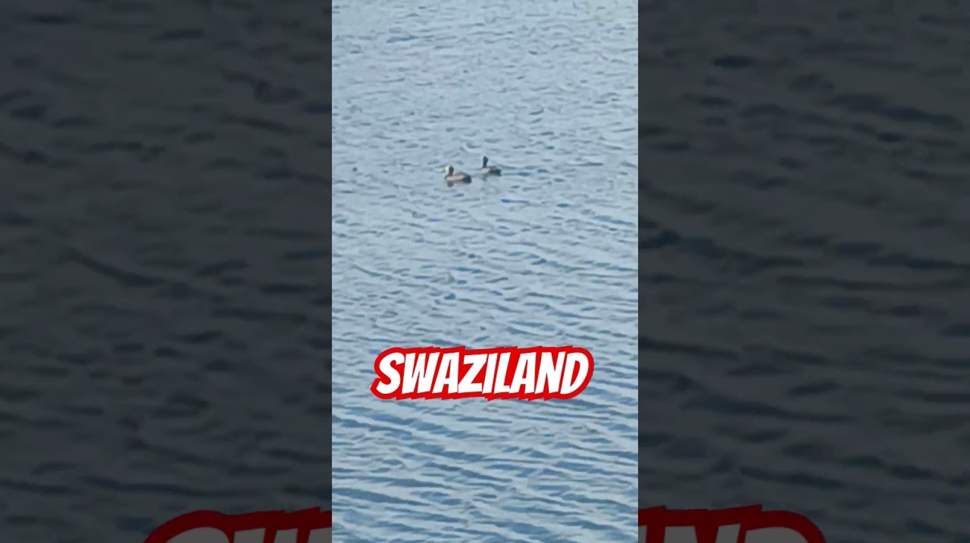 Swaziland #today #automobile # #music Swaziland #today #automobile # #music
