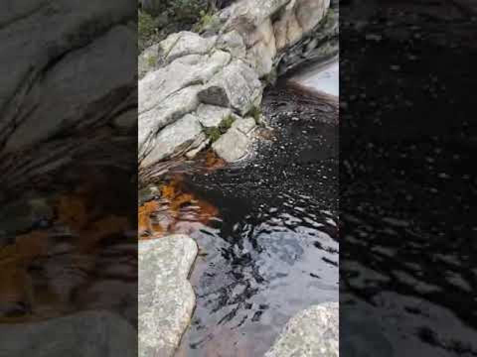 Garden Route Trail House Rock Pools Garden Route Trail House Rock Pools