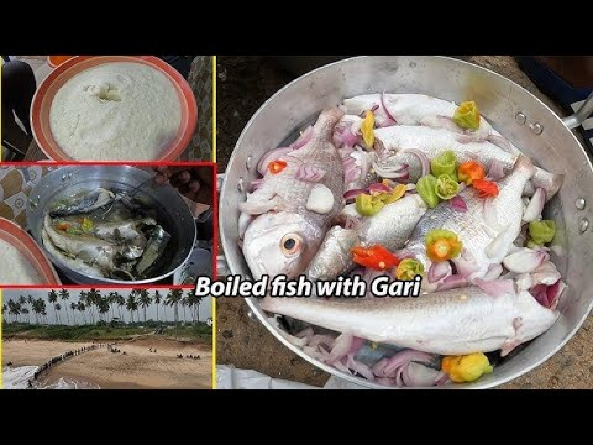 Authentic FRESHLY BOILED FISH with GARI – Traditional Ghanaian Cuisine from West Africa Authentic FRESHLY BOILED FISH with GARI – Traditional Ghanaian Cuisine from West Africa