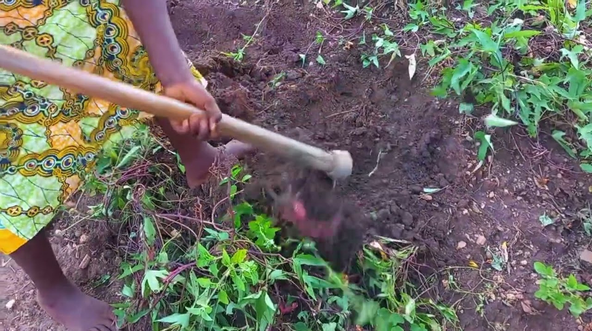 grocery shopping in an african village – shopping for potatoes // Ugandan village life grocery shopping in an african village – shopping for potatoes // Ugandan village life