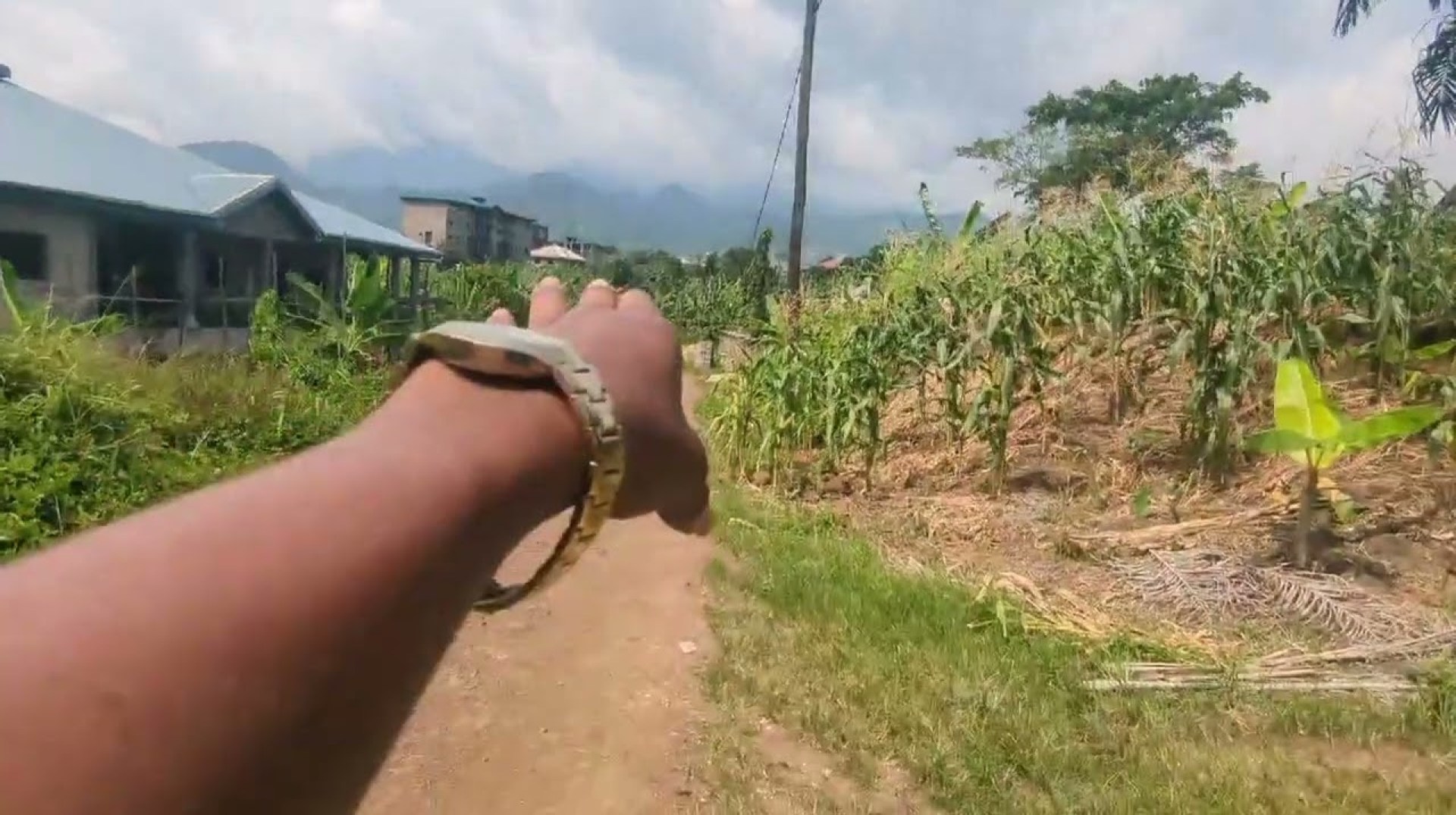 land for sale in Buea limbe tiko South West region of Cameroon. 7 million. 677109925 land for sale in Buea limbe tiko South West region of Cameroon. 7 million. 677109925