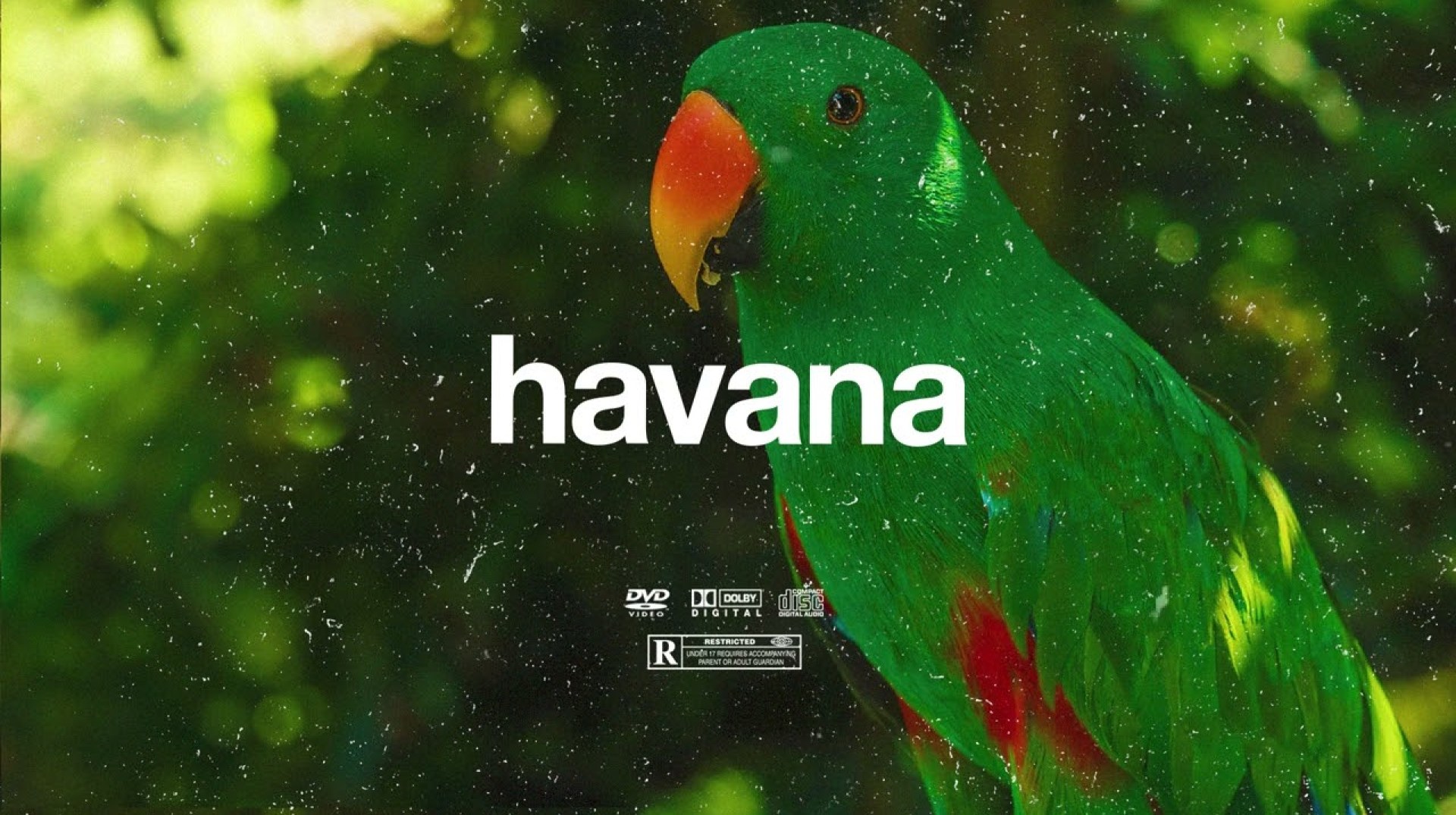 (FREE) | “Havana” | Swae Lee x Rema x Omah Lay Type Beat | Free Beat | Dancehall Instrumental 2025 (FREE) | “Havana” | Swae Lee x Rema x Omah Lay Type Beat | Free Beat | Dancehall Instrumental 2025