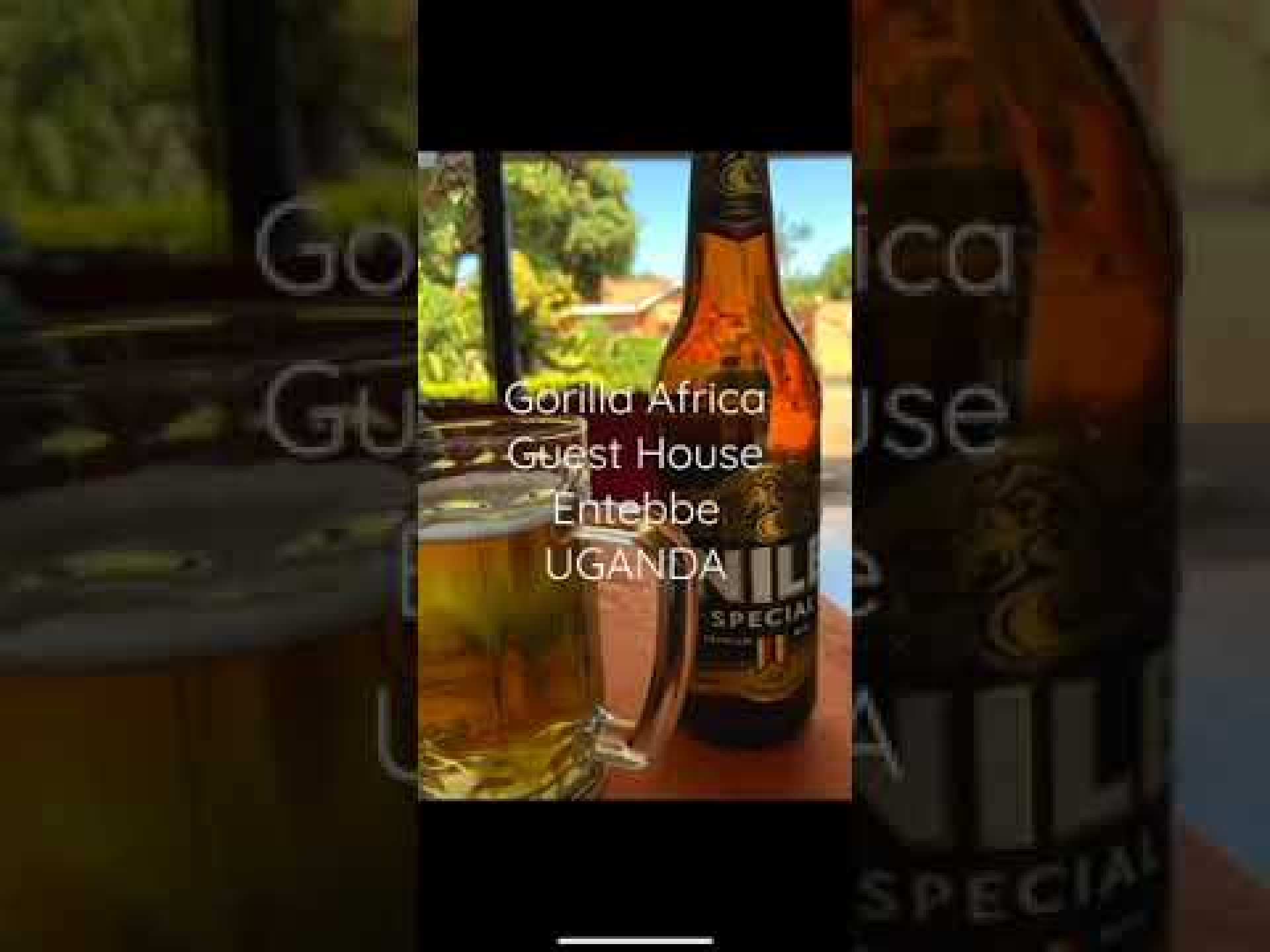Best budget hotel in Entebbe UGANDA-Gorilla Africa Guest House. M: +256781516422 Best budget hotel in Entebbe UGANDA-Gorilla Africa Guest House. M: +256781516422