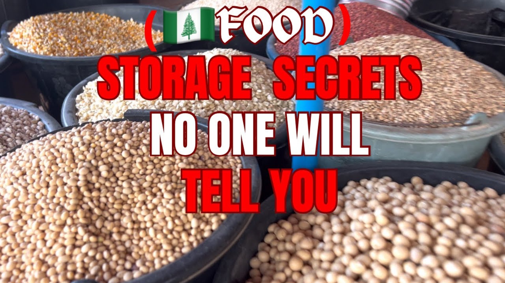 “Insider Secrets to Starting a Profitable Food Storage Business:Planning, Profit Margins, and More!” “Insider Secrets to Starting a Profitable Food Storage Business:Planning, Profit Margins, and More!”