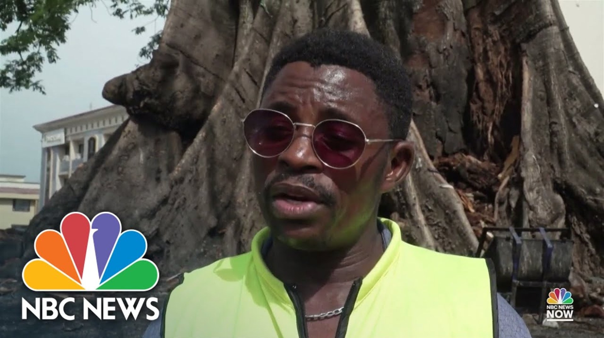 Historic ‘Cotton Tree’ symbolizing Sierra Leone’s freedom falls during rainstorm Historic ‘Cotton Tree’ symbolizing Sierra Leone’s freedom falls during rainstorm