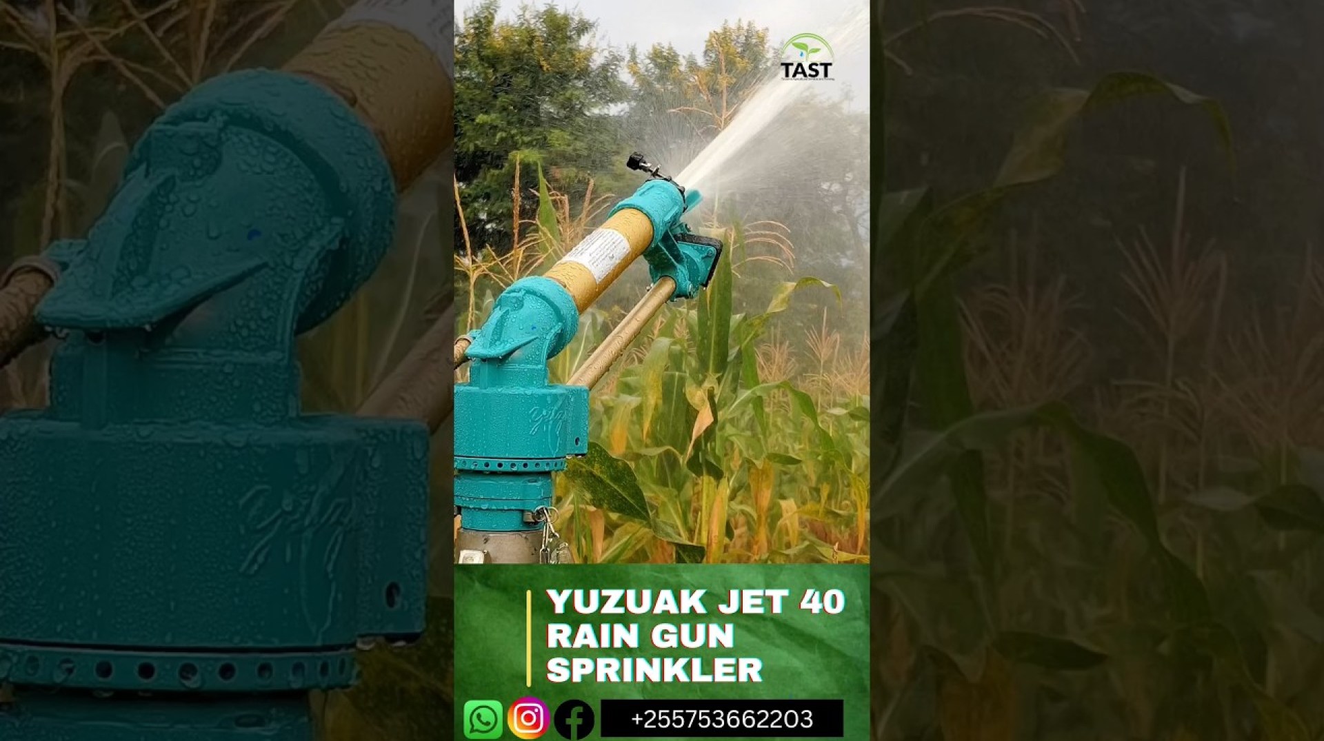 Farming in Tanzania_yuzuak Jet 40 Rain gun sprinkler irrigation#kilimo #tast#agriculture#irrigation Farming in Tanzania_yuzuak Jet 40 Rain gun sprinkler irrigation#kilimo #tast#agriculture#irrigation