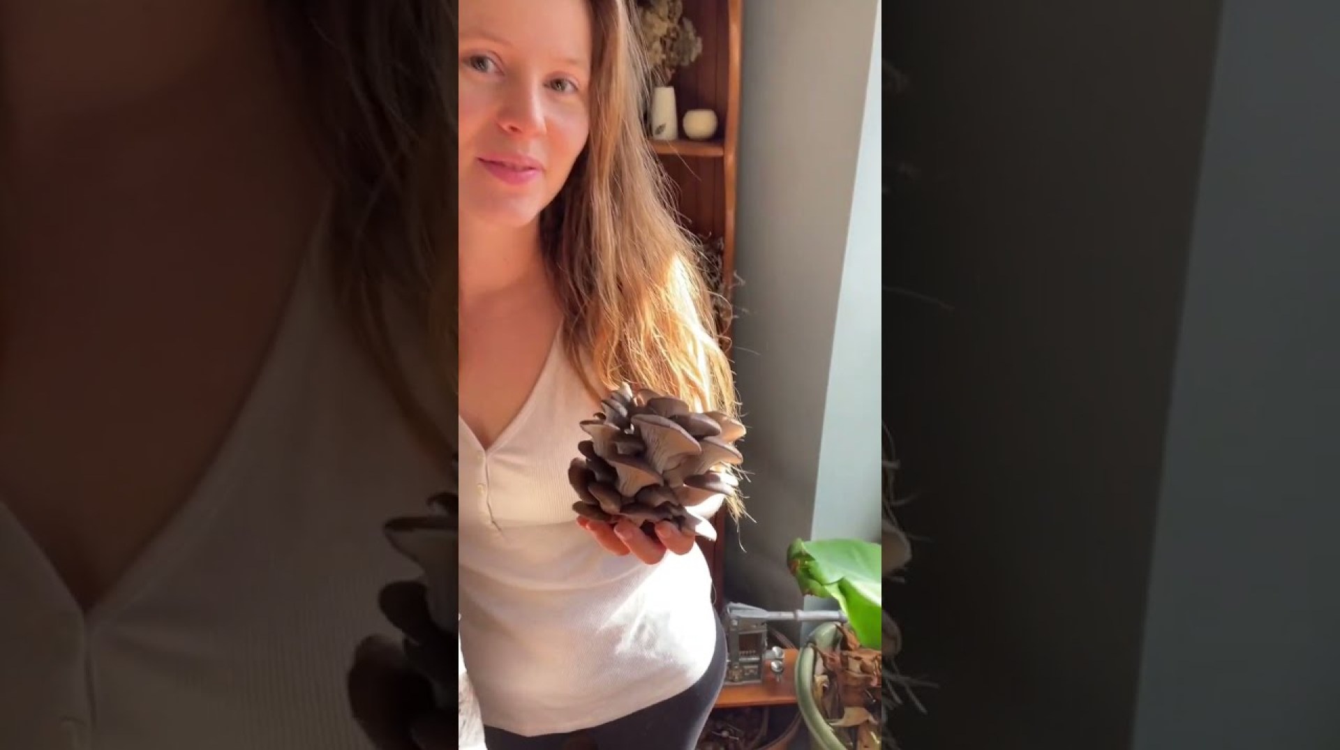 How we grow oyster mushrooms in Winter! #growyourownfood #urbanhomesteading #offgridliving How we grow oyster mushrooms in Winter! #growyourownfood #urbanhomesteading #offgridliving