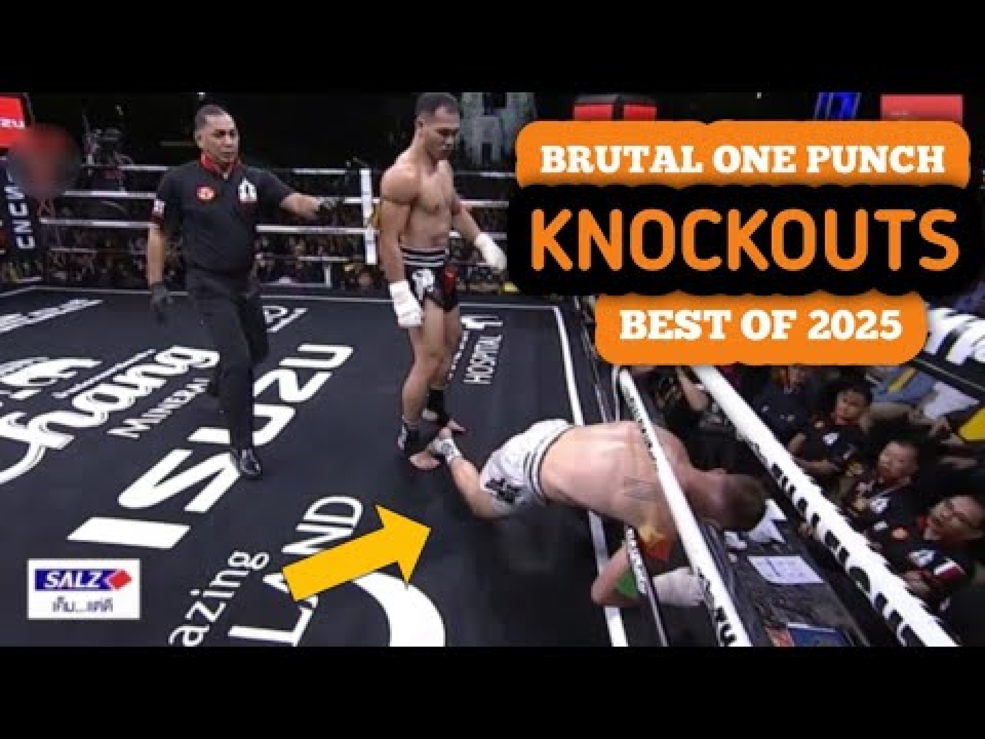 Brutal One Punch Knockouts 2025 Brutal One Punch Knockouts 2025