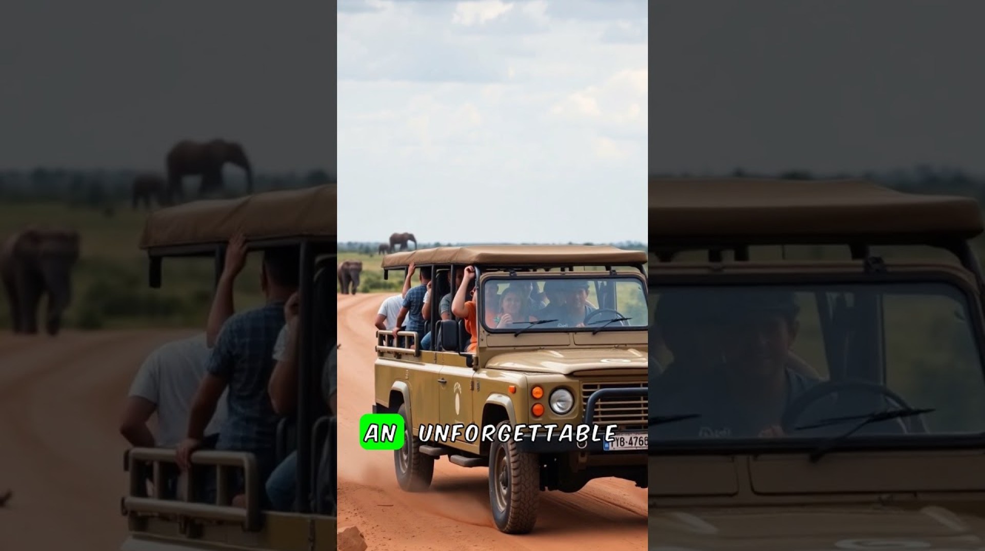 Kruger National Park's Wildlife Wonders! | Kruger National Park Travel Tales Video Kruger National Park's Wildlife Wonders! | Kruger National Park Travel Tales Video