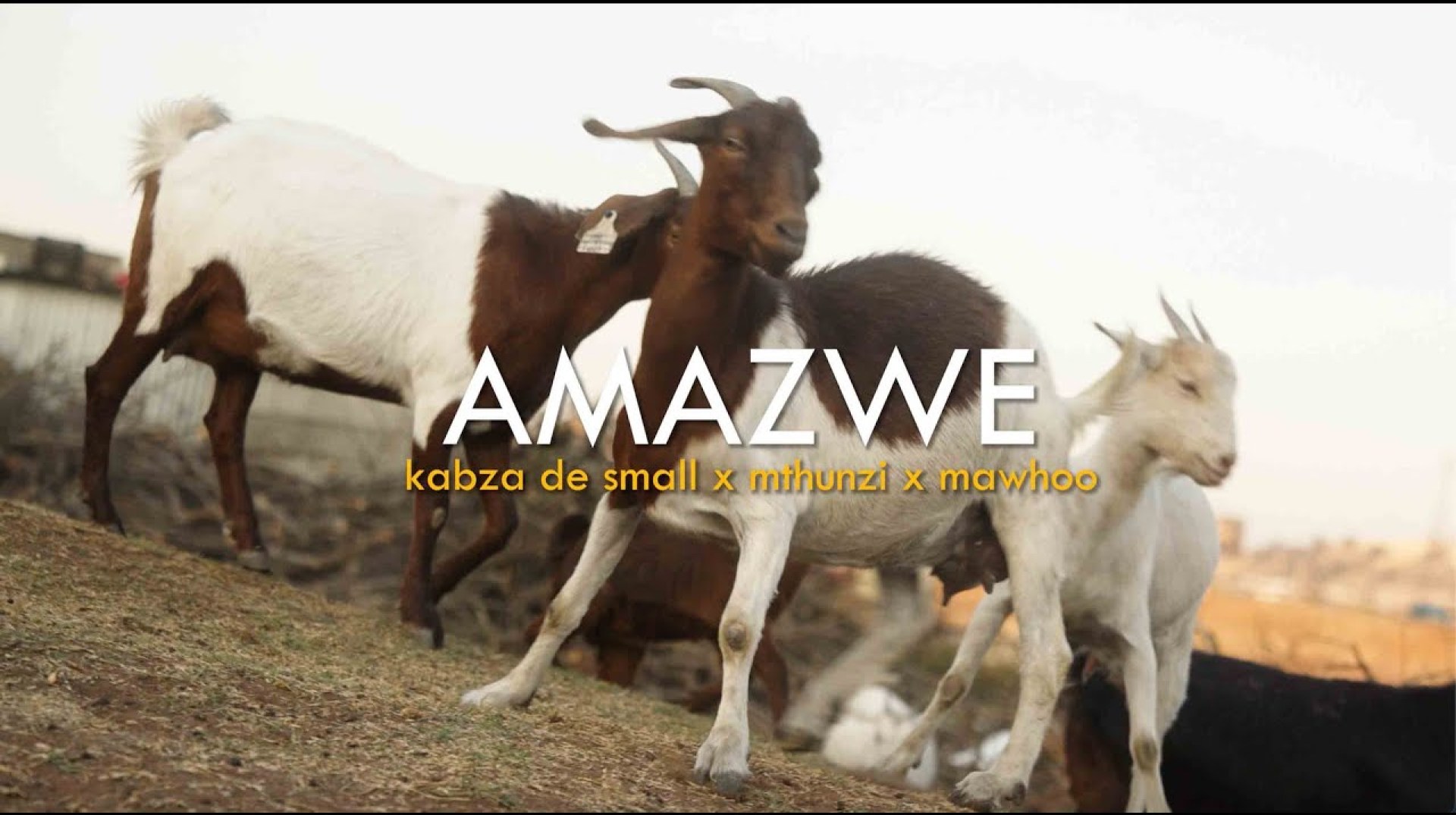Kabza De Small & Mthunzi – Amazwe feat. MaWhoo (Official Music Video) Kabza De Small & Mthunzi – Amazwe feat. MaWhoo (Official Music Video)