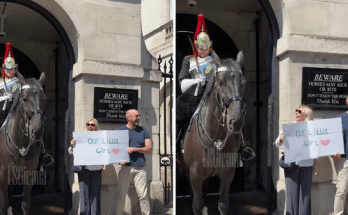 Parents surprise their daughters during royal duty. Watch how she controls hard to hide a smile Parents surprise their daughters during royal duty. Watch how she controls hard to hide a smile
