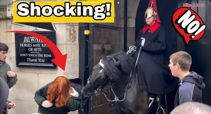 Royal King’s Guard Horse BITES and DRAGS Tourist! Royal King’s Guard Horse BITES and DRAGS Tourist!