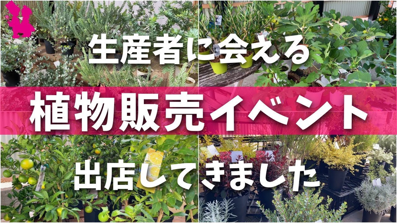 ファーマーズマーケットボウル グリーンゴッデスソース添え レシピ ファーマーズマーケットボウル グリーンゴッデスソース添え レシピ