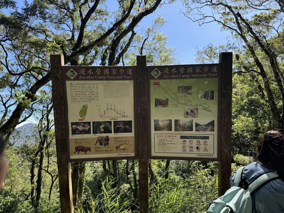 秋季來臨!小心虎頭蜂攻擊,林業署給你三大安全建議 秋季來臨!小心虎頭蜂攻擊,林業署給你三大安全建議