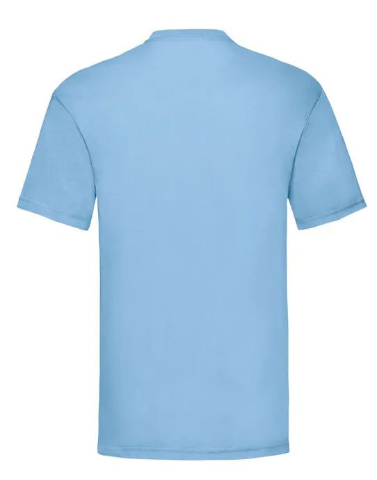 61036 Men’s Valueweight T Sky Blue
