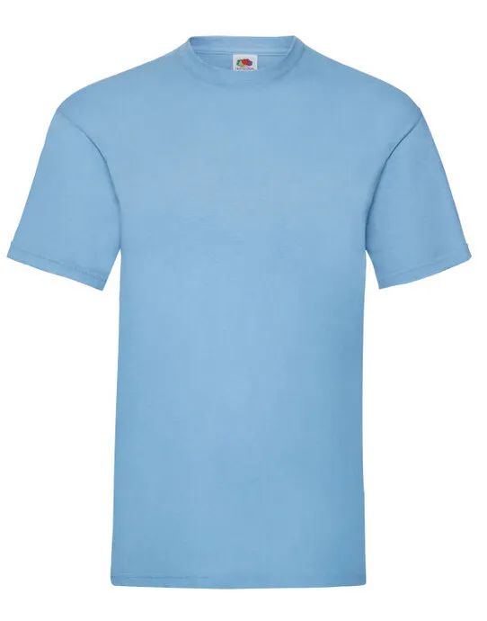 61036 Men’s Valueweight T Sky Blue