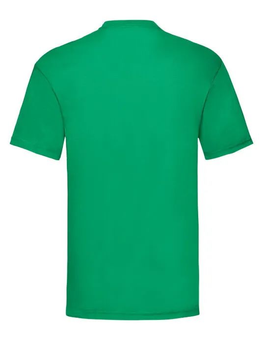 61036 Kelly Green Men’s Valueweight T