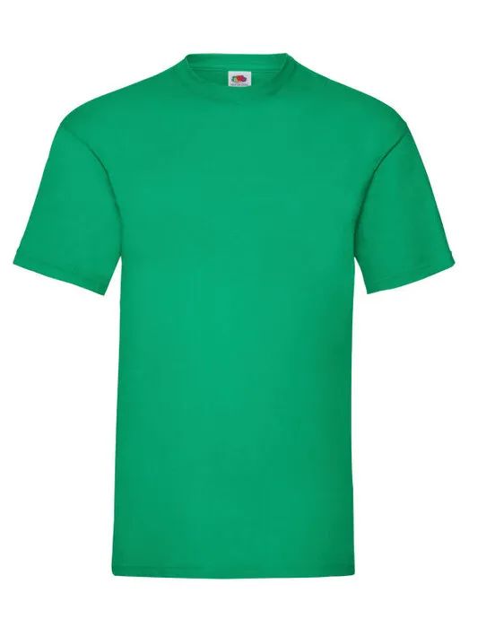 61036 Kelly Green Men’s Valueweight T