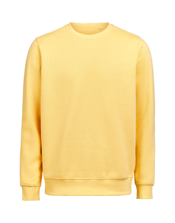 UM3430010 Untagged Movement Crewneck Regular Fit Ray