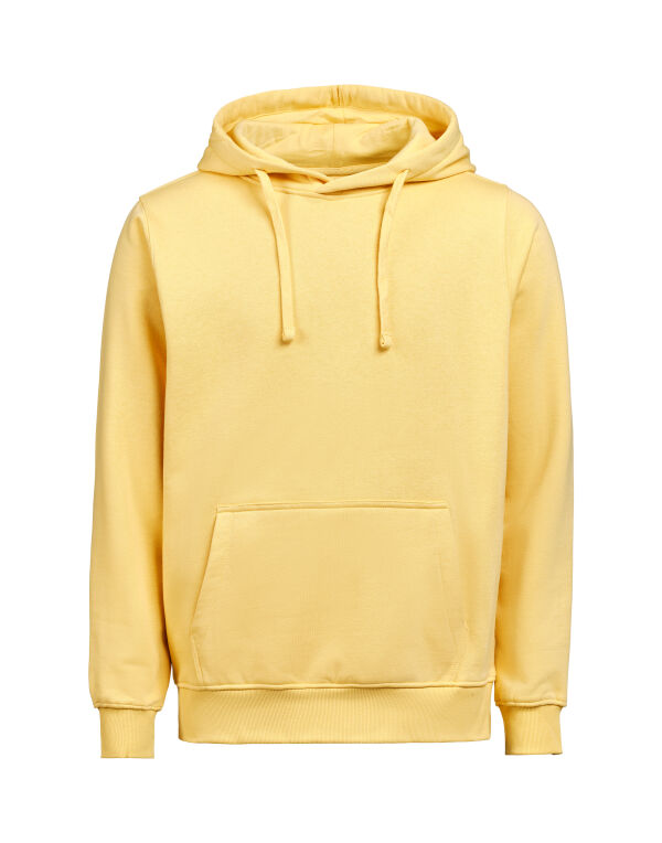 UM3440010 Untagged Movement Hoodie Regular Fit Ray