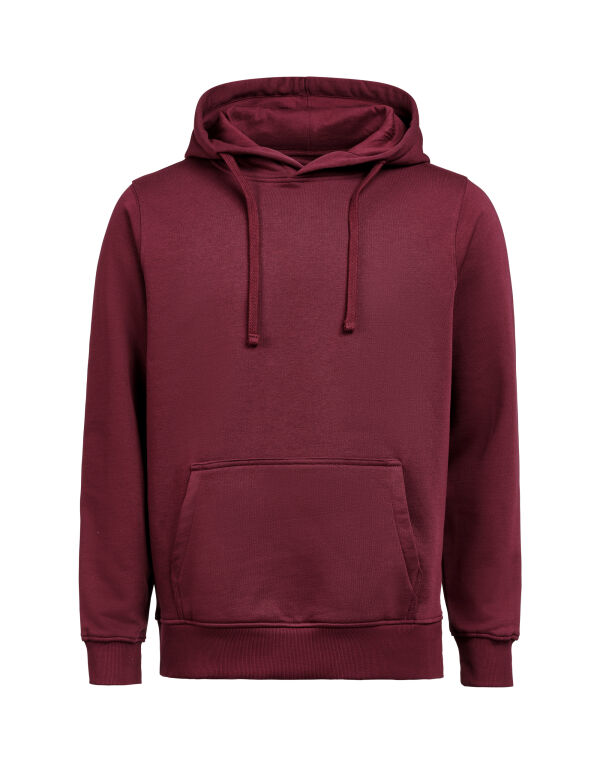 UM3440010 Untagged Movement Hoodie Regular Fit Prune