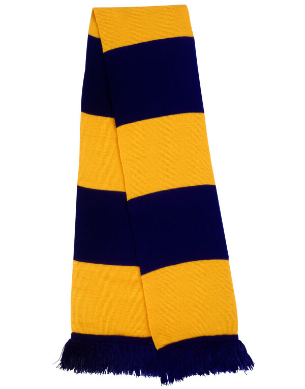 R146X Result Winter Essentials Team Scarf Navy/Gold