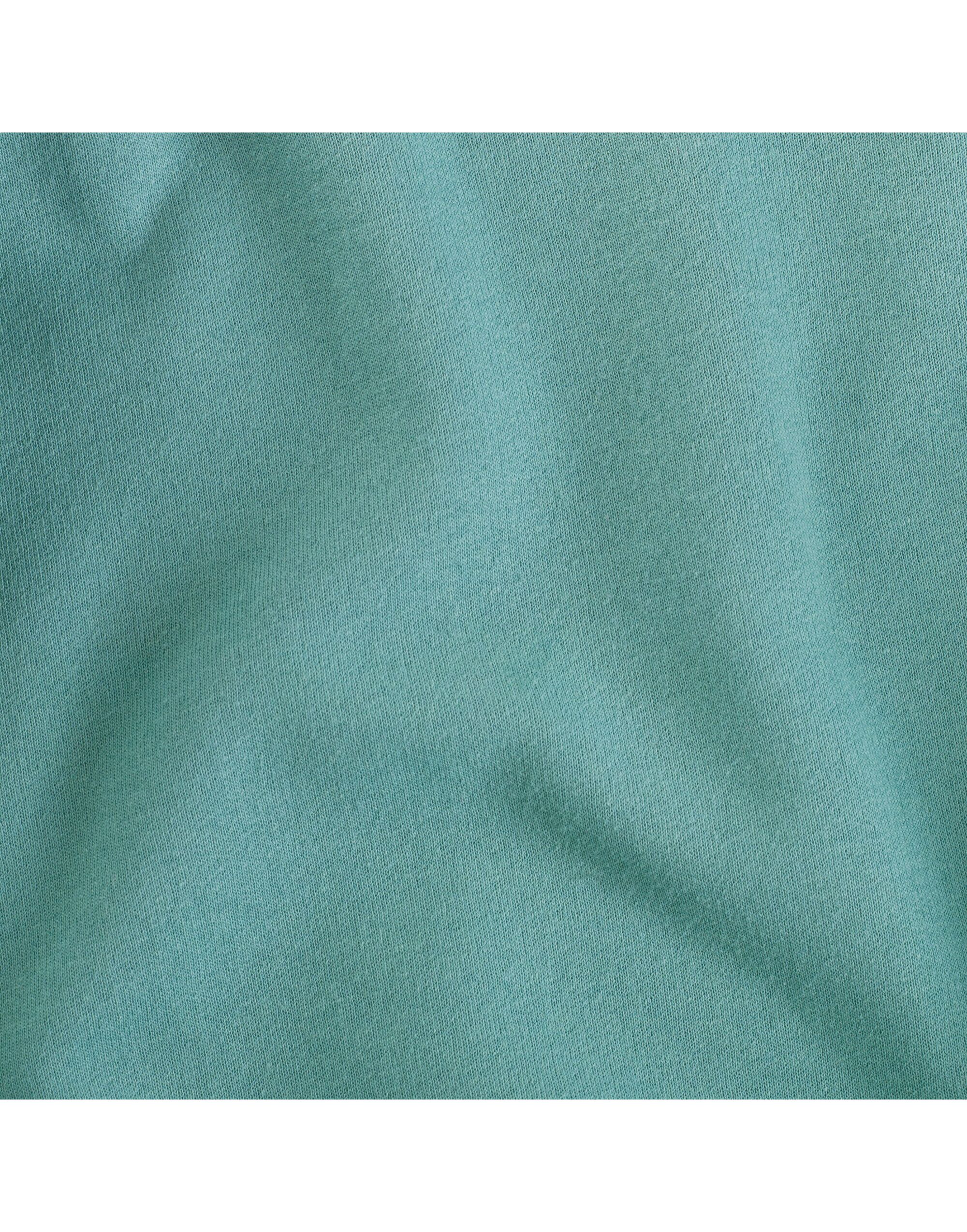 0S996M0 NuBlend® Hooded Sweatshirt Sage