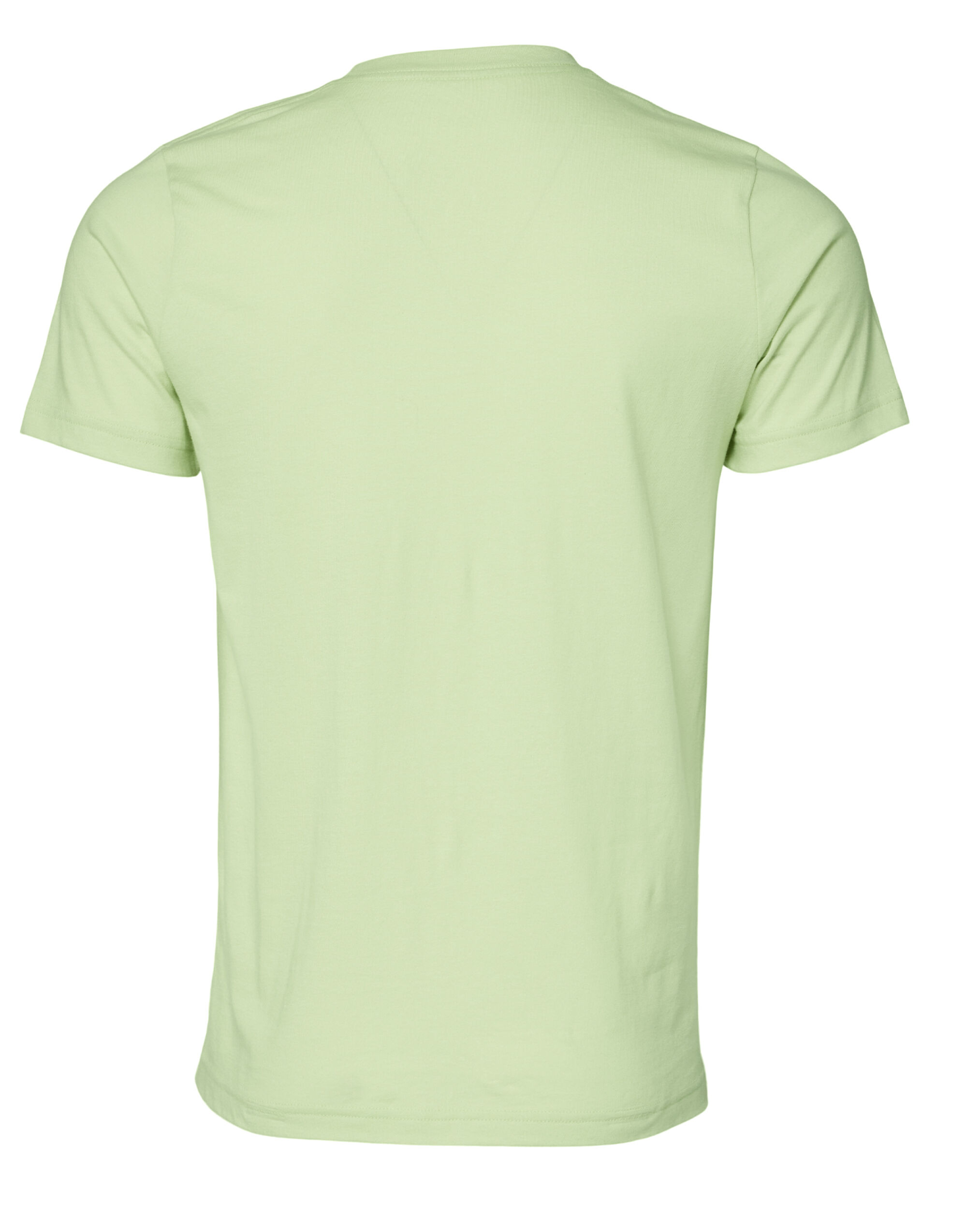 CA3001 Canvas Unisex Jersey Short Sleeve Tee Spring Green