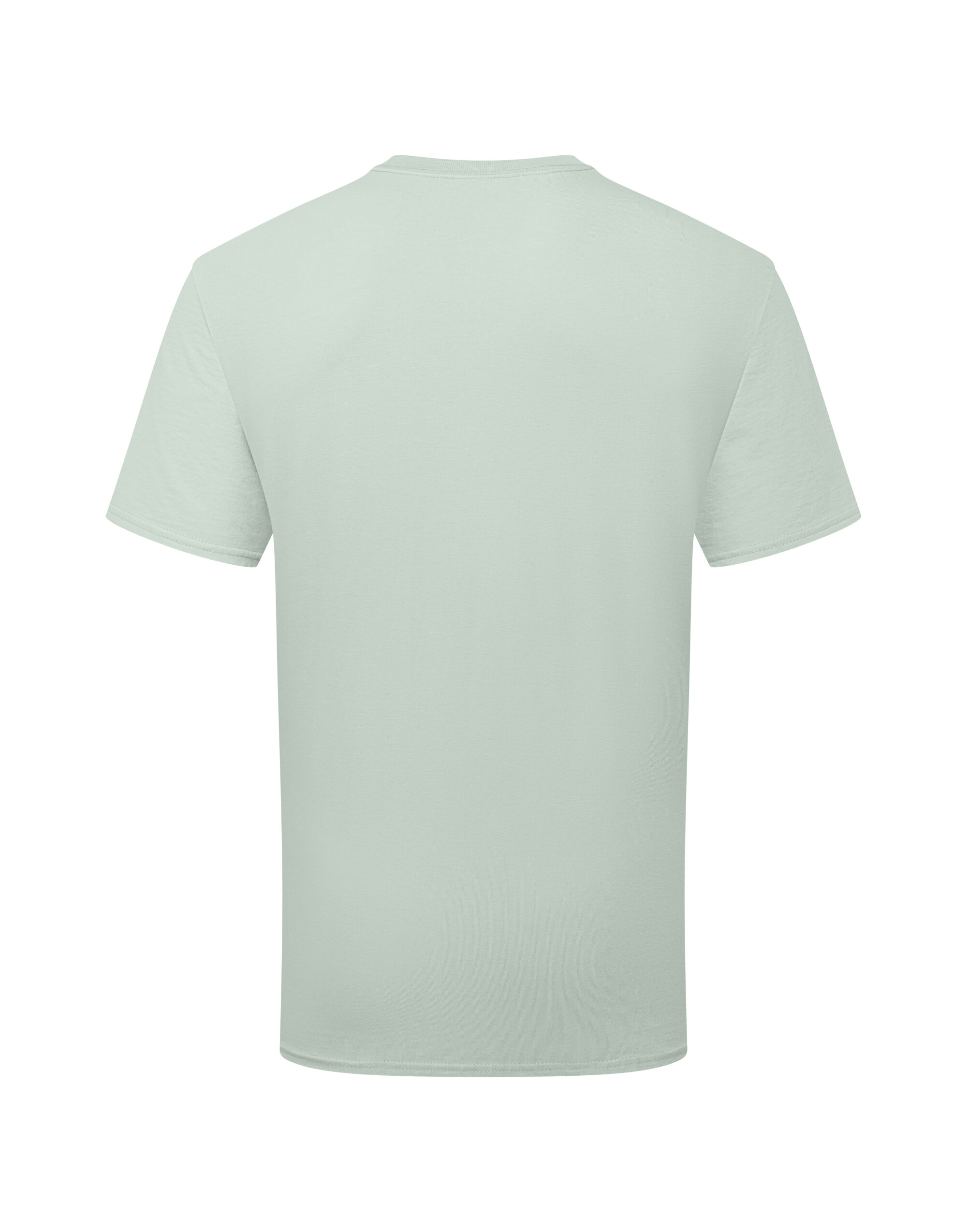 61362 Pure Cotton T Sage