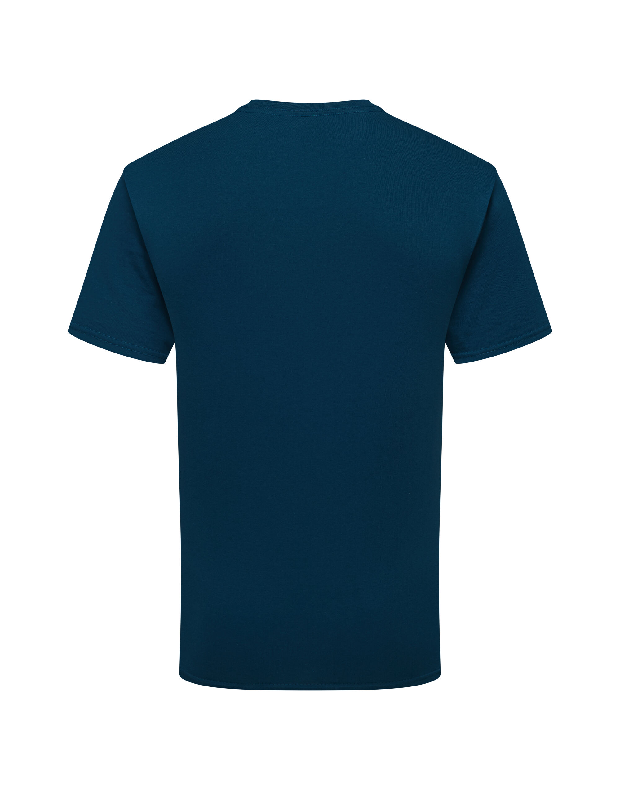 61362 Pure Cotton T Mountain Blue