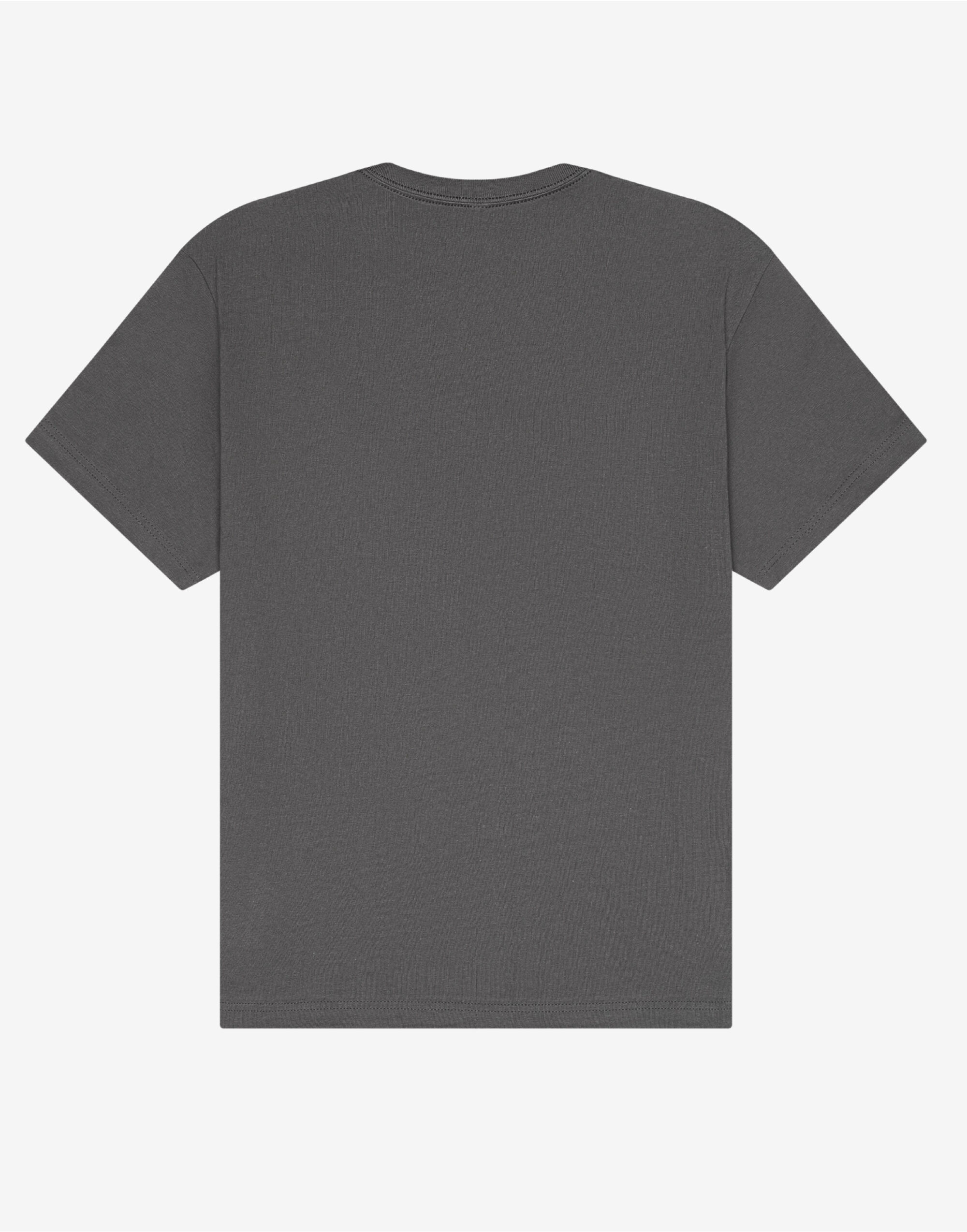 CA4610 Unisex Short Sleeve Heavy Tee Asphalt