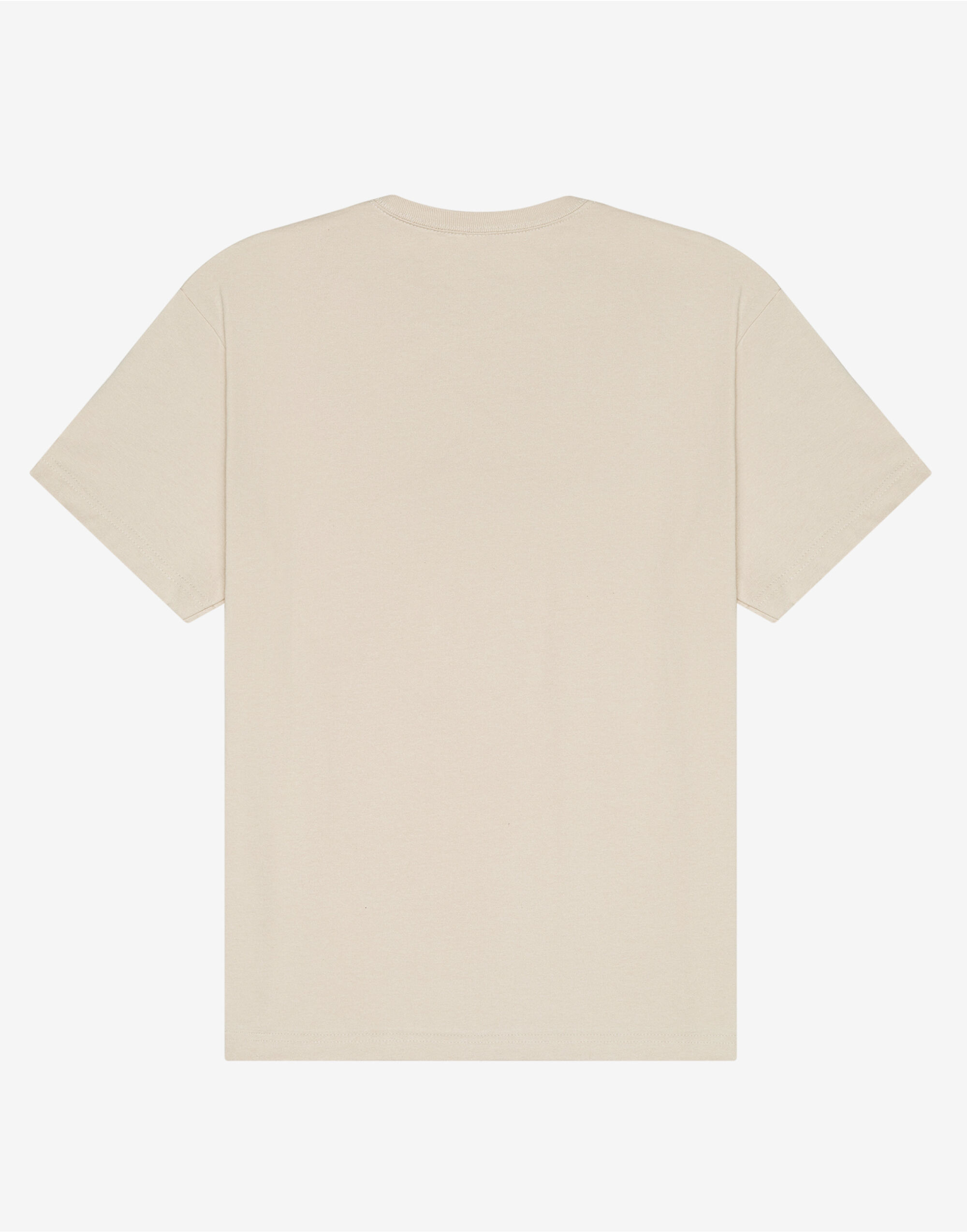 CA4610 Unisex Short Sleeve Heavy Tee Dust
