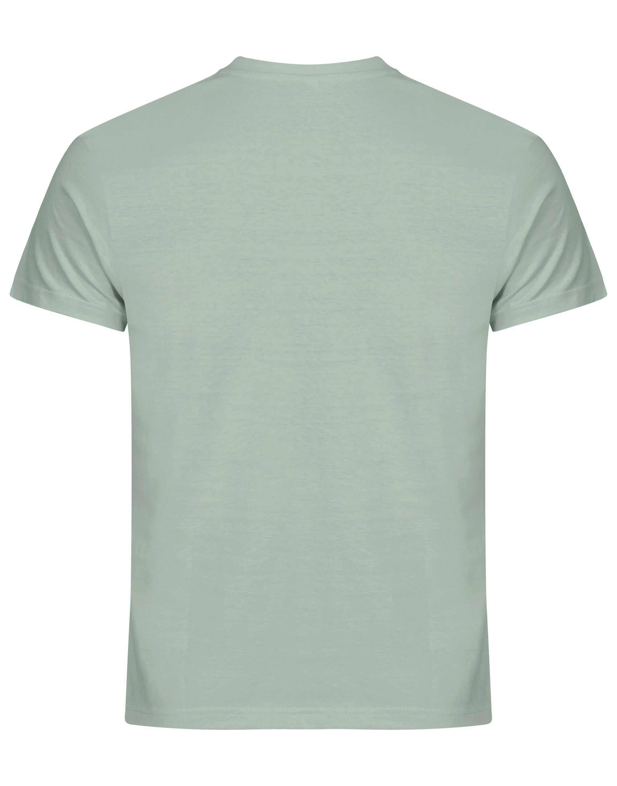 CQ029030 Basic T Sage Green