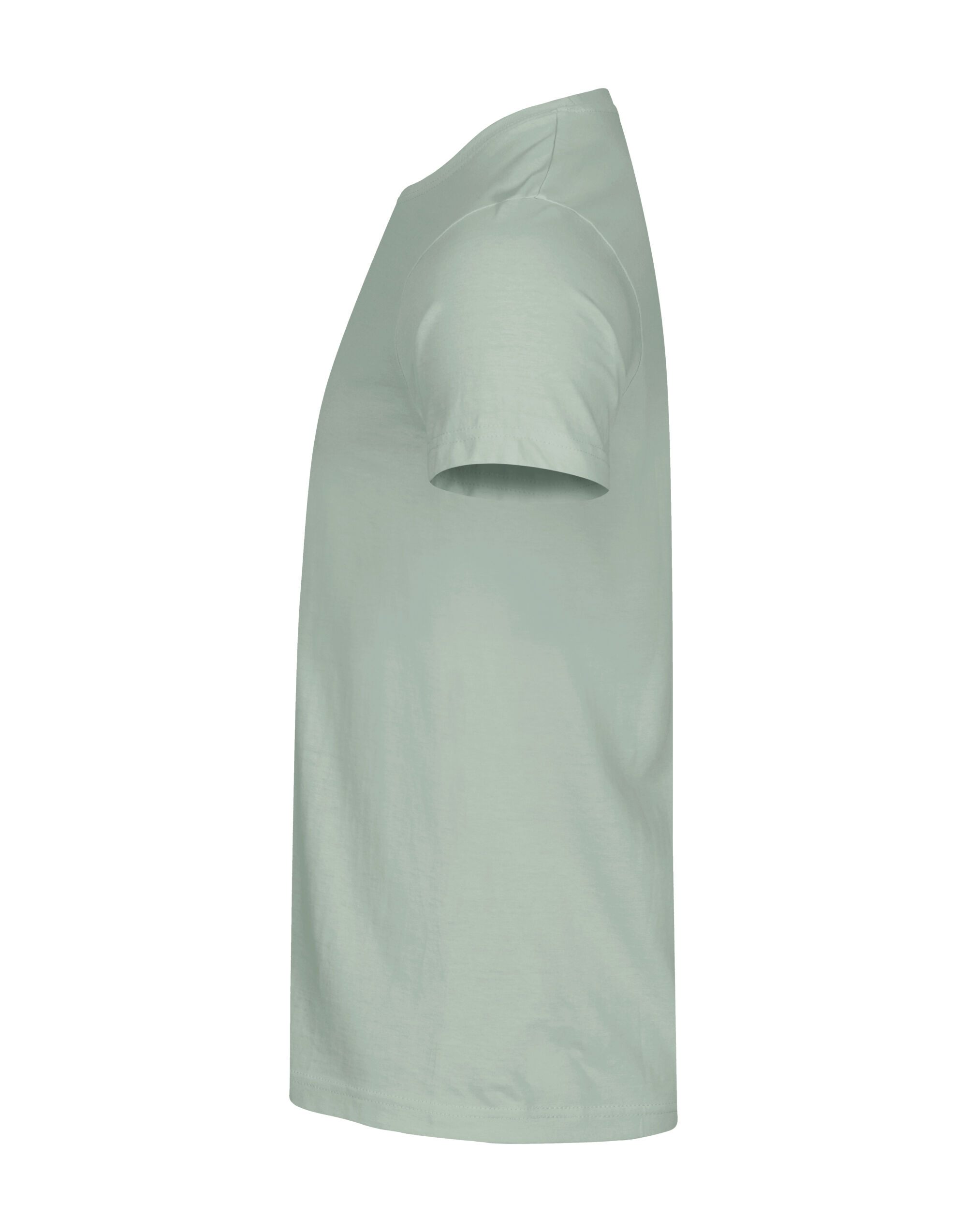 CQ029030 Basic T Sage Green