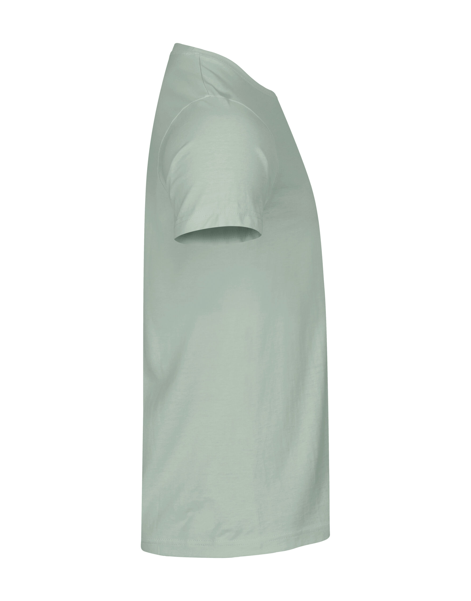 CQ029030 Basic T Sage Green