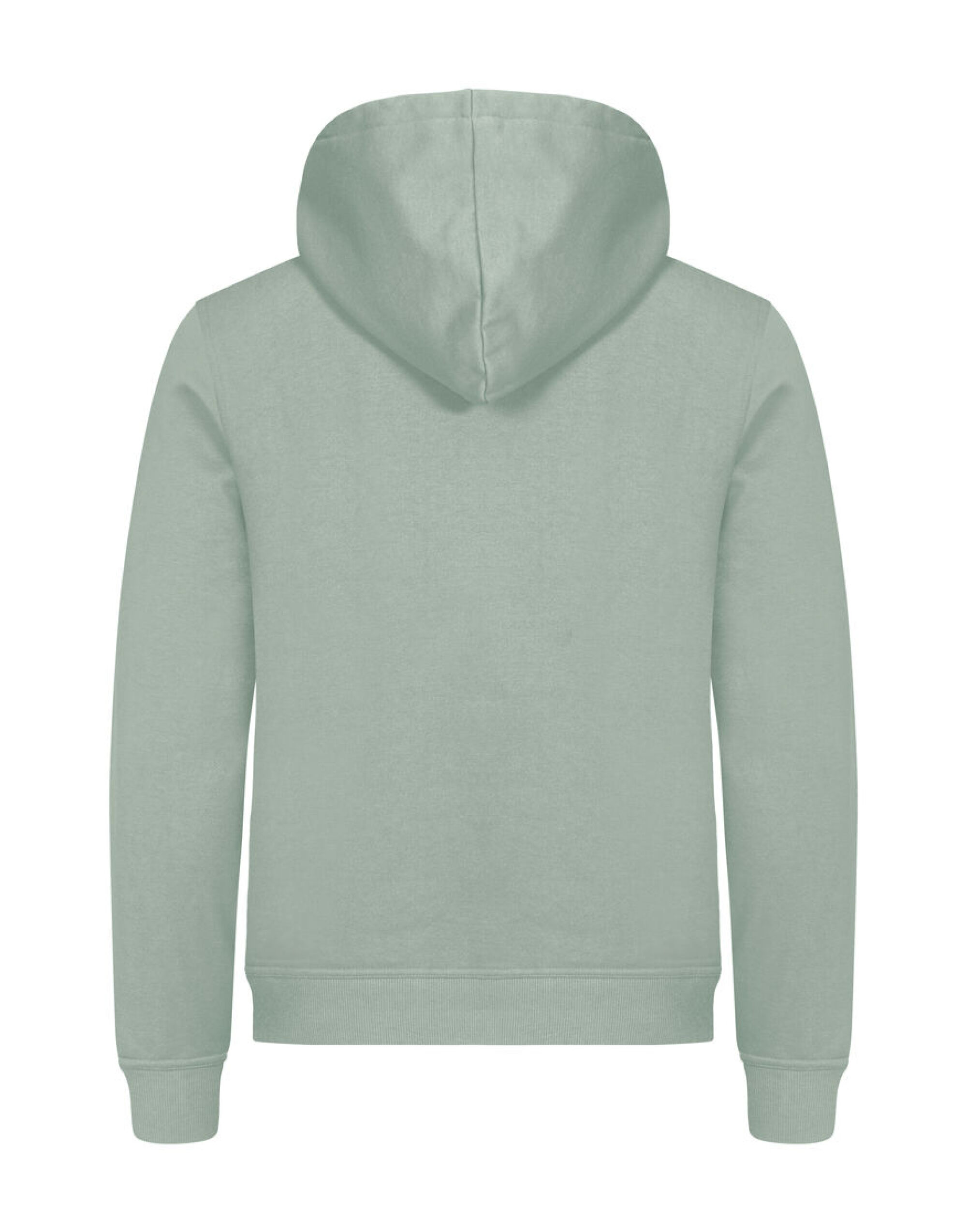 CQ0201031 Miami Hoody Sage Green