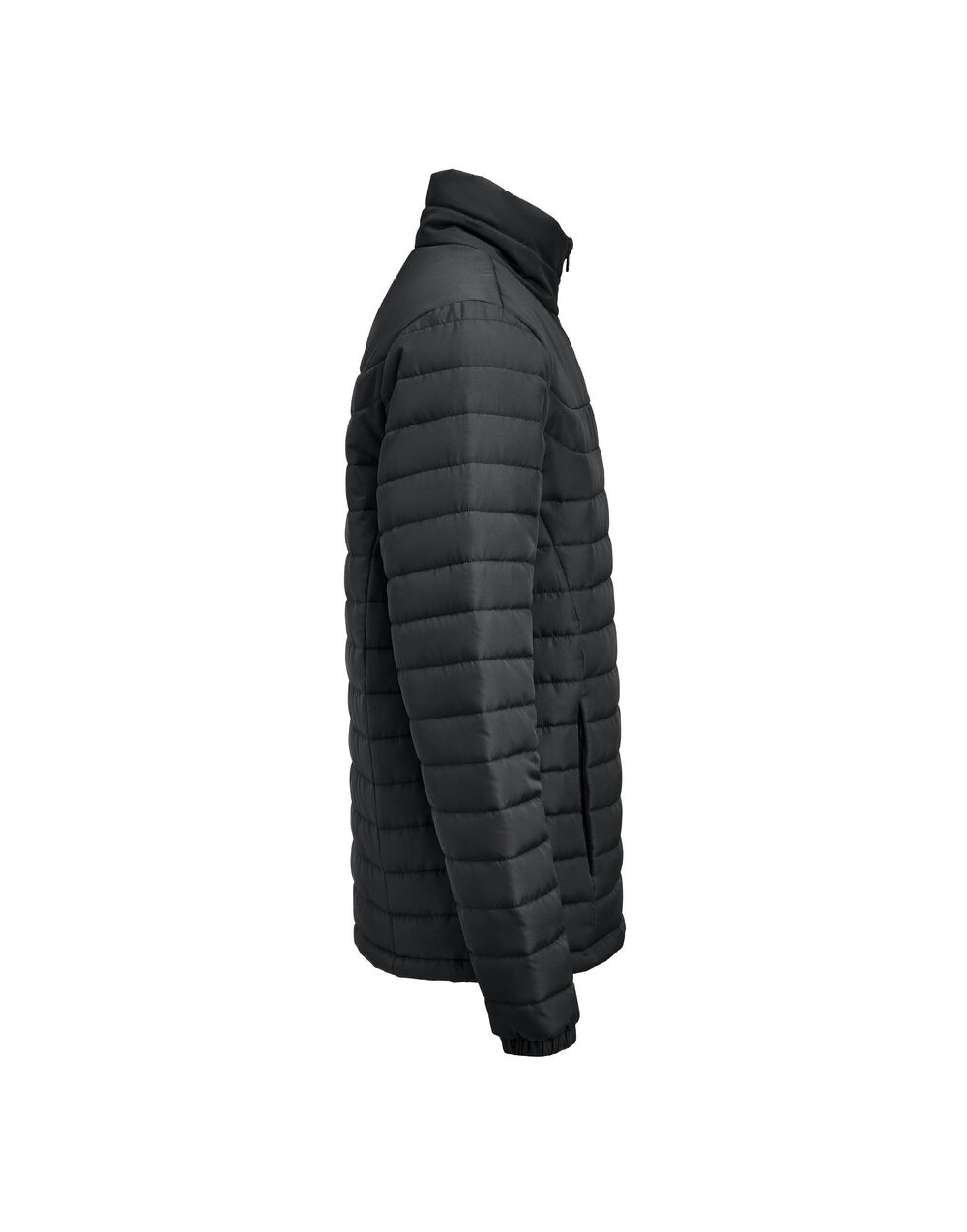 HAR2111048 Black Arches Jacket