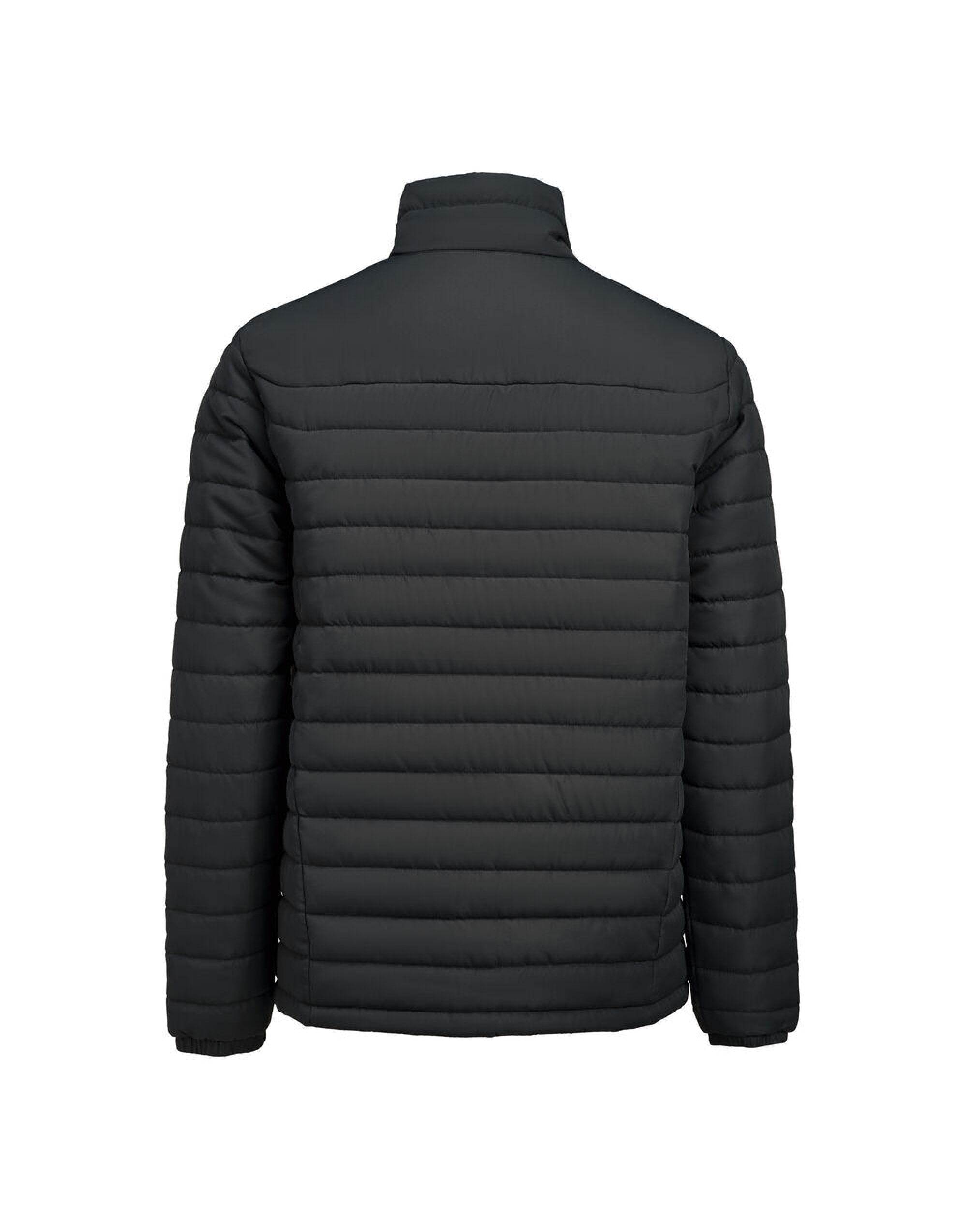 HAR2111048 Black Arches Jacket