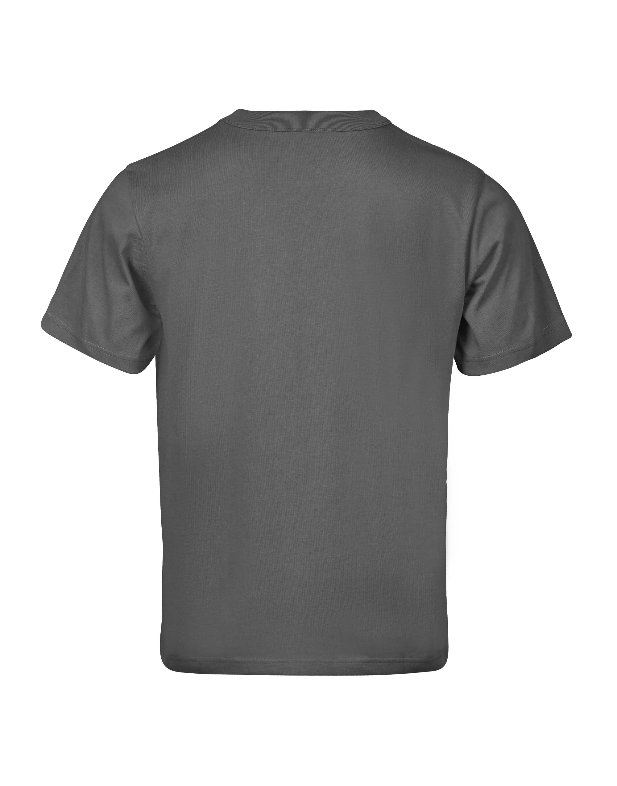 TJ1160 Powder Grey Unlabeled Loose Fit Tee