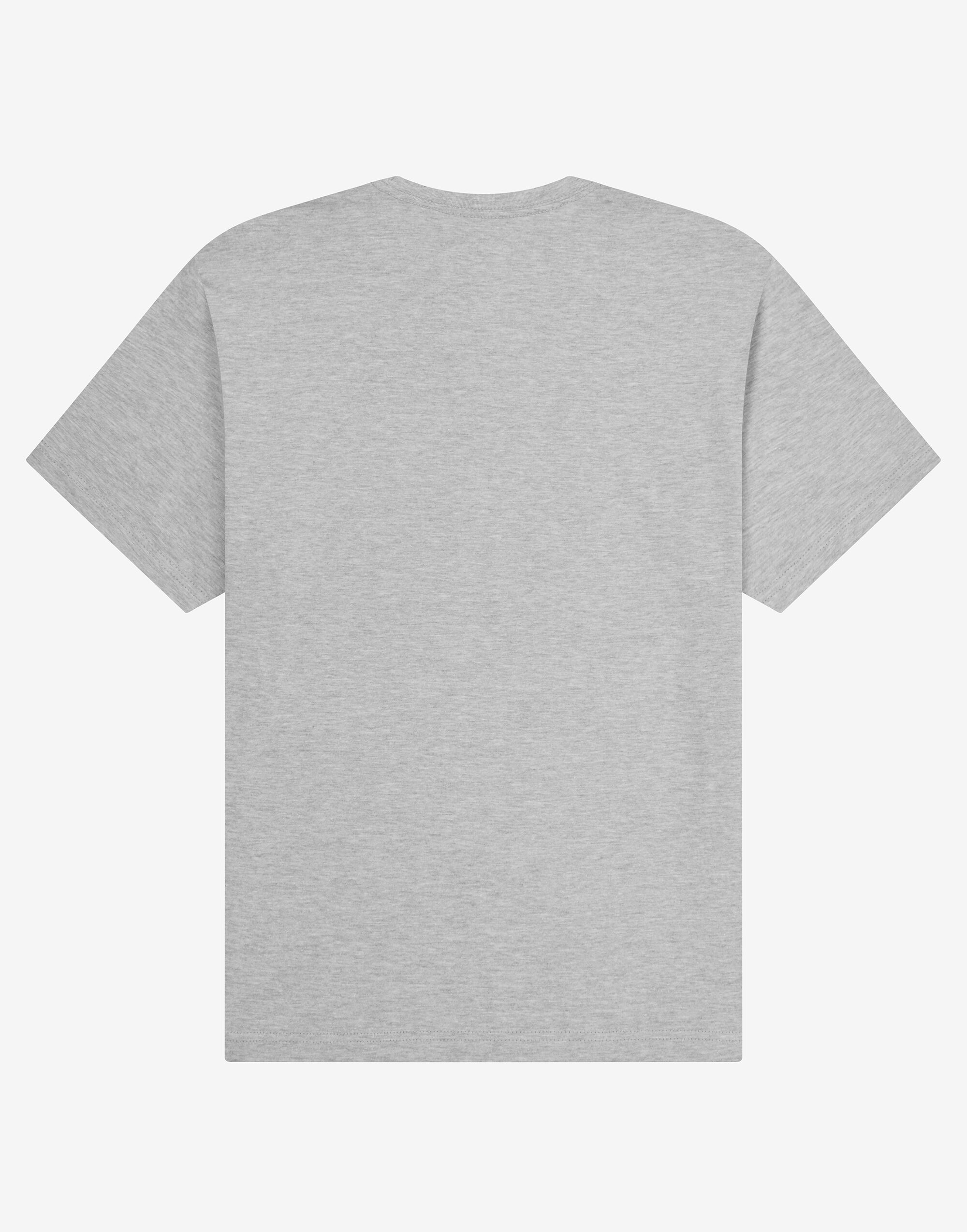 UCC220 Organic Heavy T-Shirt Heather