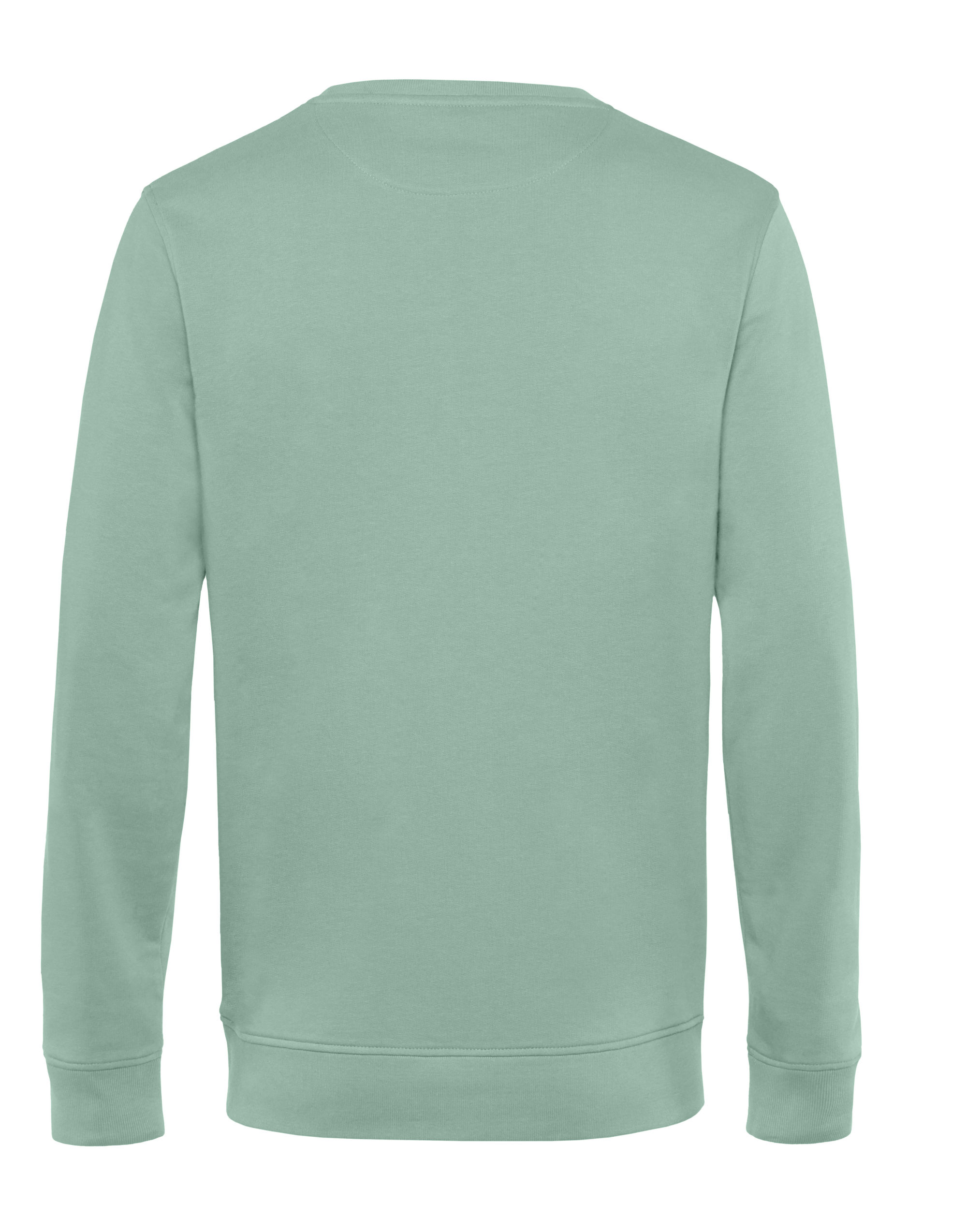 WU31B Inspire Crew Neck Sage